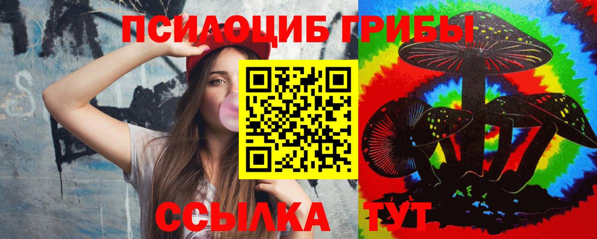 Сергиев Посад  Псилоцибиновые грибы Psilocybine cubensis  Вход с VPN 