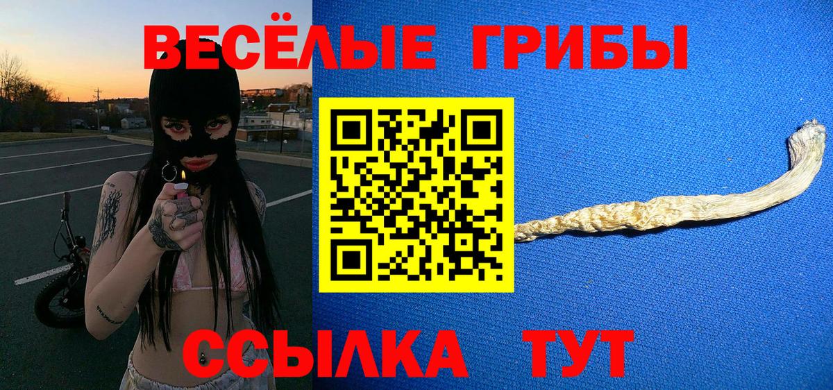 Галлюциногенные грибы Psilocybine cubensis Сергиев Посад